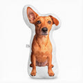 ✨Cojín de Compañero Peludo-Personalizado 🐾💖