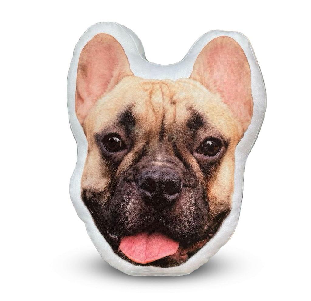 ✨Cojín de Compañero Peludo-Personalizado 🐾💖