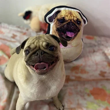 Cojín de Compañero Peludo-Personalizado 🐾💖